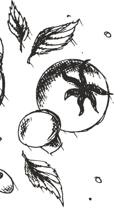 bg-13