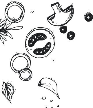 bg-25