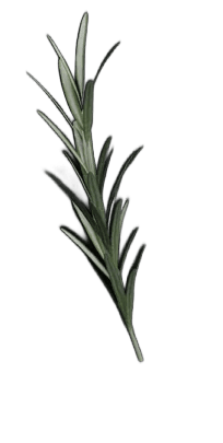bg-17-1